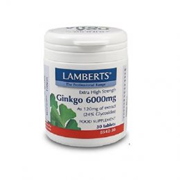 Lamberts - Συμπλήρωμα Διατροφής με Εκχύλισμα Ginkgo Biloba 6000mg - 30tabs LAMBERTS Ανοσοποιητικό