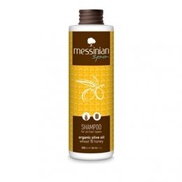   Shampoo