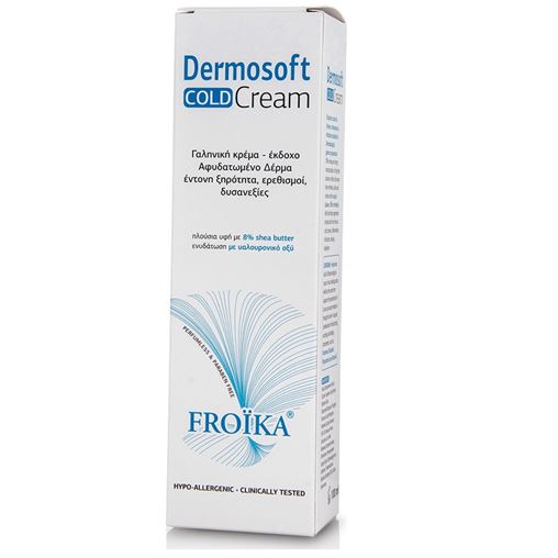 FROIKA Dermosoft Cream Cold Ενυδατική Καταπραϋντική Κρέμα, 100ml