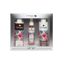 Messinian Spa Promo Orange Vanilla Blueberry Shower Gel 300ml & Body Lotion 300ml & Hair and Body  MESSINIAN SPA Σετ
