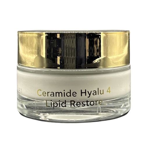 Power Inalia Ceramide Hyalu 4 Lipid Restore Face Cream Κρέμα Προσώπου 50 ml