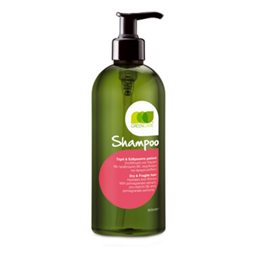 Green Care Dry Hair Σαμπουάν για Ξηρά και Εύθραυστα Μαλλιά 500ml GREENCARE Σαμπουαν