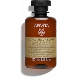 Apivita Royal Jelly Elixir Shampoo Σαμπουάν Αναζωογόνησης με Βασιλικό Πολτό, 250ml APIVITA Τριχόπτωση / Ενδυνάμωση
