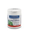 Lamberts - Συμπλήρωμα Διατροφής με Εκχύλισμα Ginkgo Biloba 6000mg - 30tabs