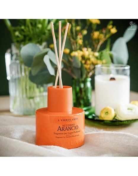 L' Erbolario Αρωματικό Χώρου με Sticks Accordo Arancio 125ml