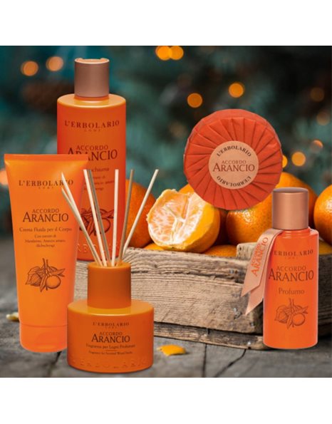 L' Erbolario Αρωματικό Χώρου με Sticks Accordo Arancio 125ml