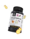 AtLife Plantimmune Συμπλήρωμα Διατροφής Για Πρόληψη & Αντιμετώπιση Του Κρυολογήματος 60 Ζελεδάκια