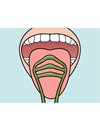TePe Tongue Cleaner Πράσινο Καθαριστής Γλώσσας για Απομάκρυνση των Βακτηριδίων & Καθαρή Αναπνοή 1τμχ