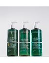 Pharmasept Scalp Biome Oily Dandruff Shampoo, Σαμπουάν Ρύθμισης Της Λιπαρότητας 400ml.