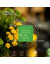 L'Erbolario Solid Shower Shampoo Pistacchio Στέρεο Σαμπουάν/ Αφρόλουτρο με Άρωμα Φυστίκι, 60g