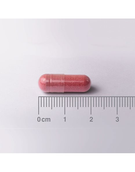 Lamberts Cranberry Tablets 18,750mg - Φόρμουλα Υγείας Ουροποιητικού Συστήματος 60caps