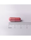 Lamberts Cranberry Tablets 18,750mg - Φόρμουλα Υγείας Ουροποιητικού Συστήματος 60caps
