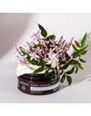 Apivita Pure Jasmine Scrub Σώματος Ήπιας Απολέπισης 200gr