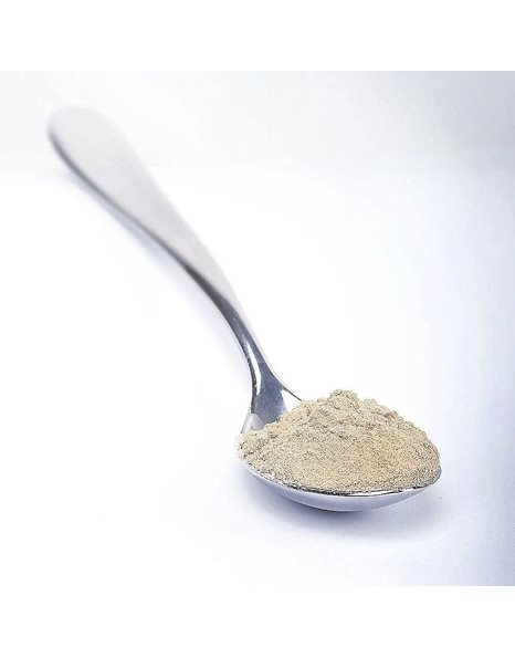 Lamberts Natural Pea Protein Πρωτεϊνη από Μπιζέλια Ιδανική για Χορτοφάγους 750gr