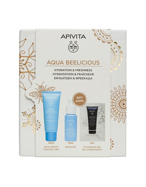 Apivita Promo Hyaluronic Hydra Με Σαμπουάν Ενυδάτωσης 250ml & Κρέμα Μαλλιών Για Ενυδάτωση 100ml