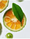 L' Erbolario Gin Botanicals Fragrance Αρωματικό Xώρου με Ξύλινα Στικς 125ml