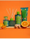 L' Erbolario Gin Botanicals Ενυδατική Κρέμα Σώματος 200ml