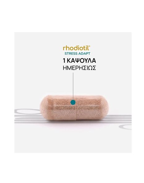 Οlonea Rhodiotil Stress Adapt Συμπλήρωμα για το Άγχος 30 φυτικές κάψουλες