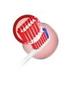 Parodontax Gums & Teeth Soft Μαλακή Οδοντόβουρτσα για Ούλα που Αιμορραγούν 1 τμχ