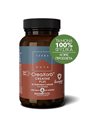 Terranova CreaXorb Creatine Plus Συμπλήρωμα Κρεατίνης για Υποστήριξη της Μυϊκής Δύναμης 50 Κάψουλες