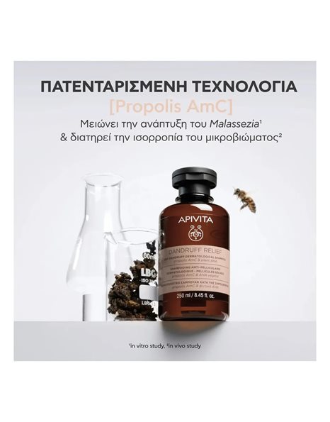 Apivita Dandruff Relief Dry Dandruff Shampoo Δερματολογικό Σαμπουάν κατά της Ξηροδερμίας 250 ml