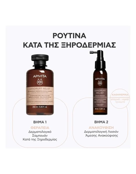 Apivita Dandruff Relief Dry Dandruff Shampoo Δερματολογικό Σαμπουάν κατά της Ξηροδερμίας 250 ml