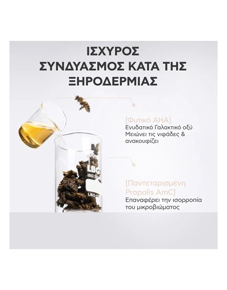 Apivita Dandruff Relief Dry Dandruff Shampoo Δερματολογικό Σαμπουάν κατά της Ξηροδερμίας 250 ml