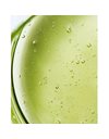Ducray Kelual DS Sebocontrol Shampoo Σαμπουάν κατά της Πιτυρίδας 100ml